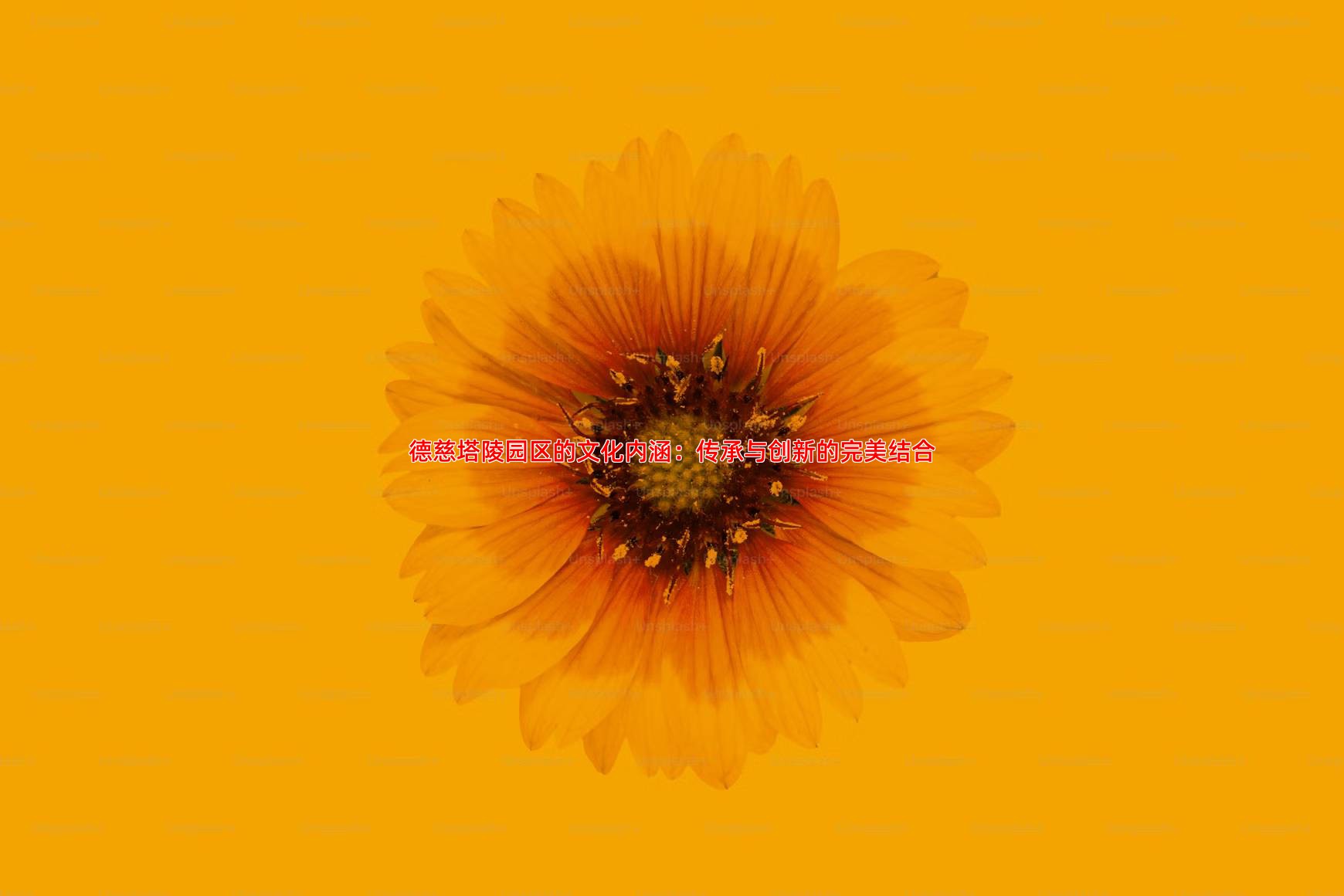 德慈塔陵园区的文化内涵：传承与创新的完美结合