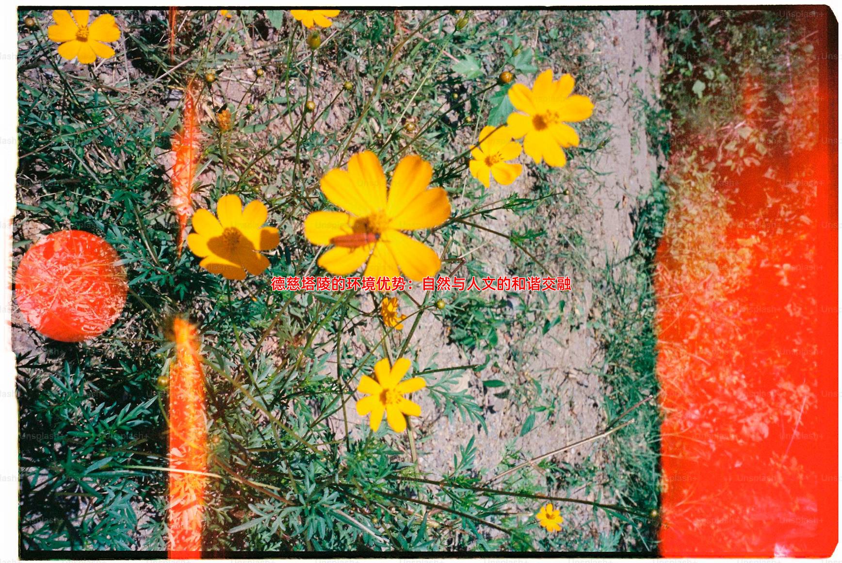 德慈塔陵适合长眠吗？揭秘其静谧优雅的环境