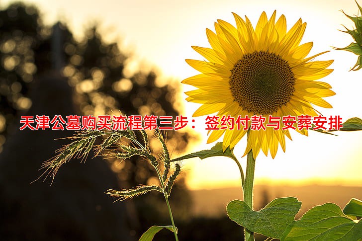 天津公墓购买流程第三步：签约付款与安葬安排