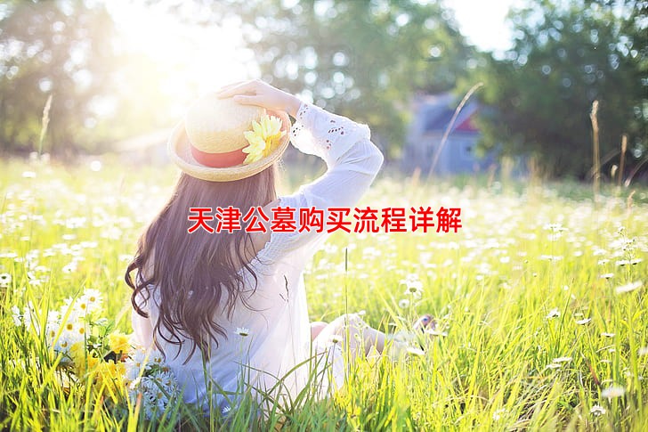 如何在天津购买公墓？完整流程与注意事项