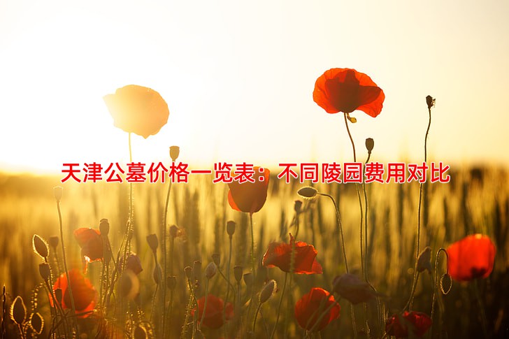 天津公墓价格一览表：不同陵园费用对比