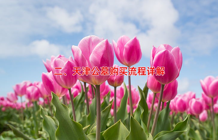 二、天津公墓购买流程详解