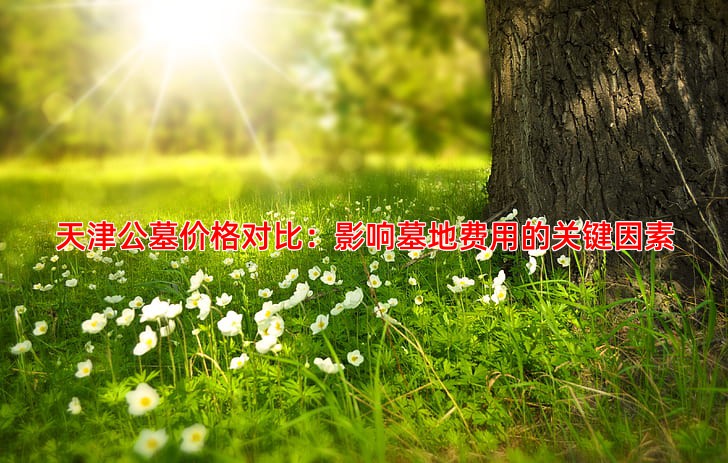 天津公墓价格对比：影响墓地费用的关键因素