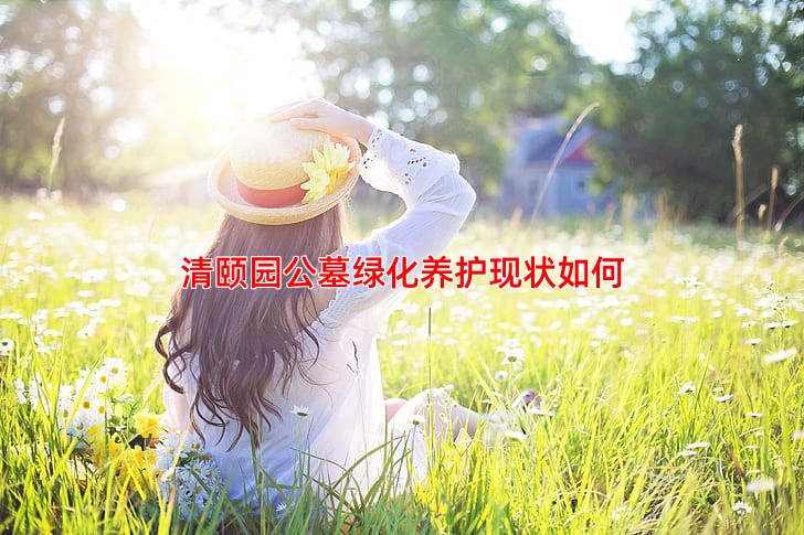 清颐园公墓绿化养护现状如何