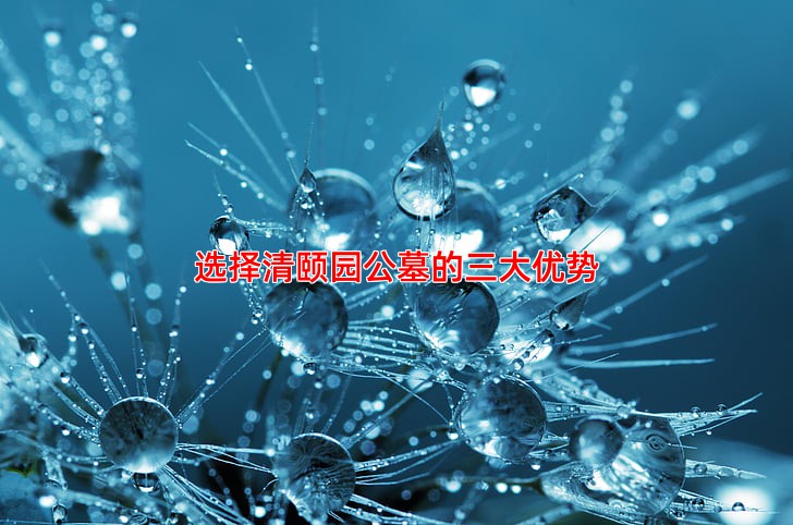 选择清颐园公墓的三大优势