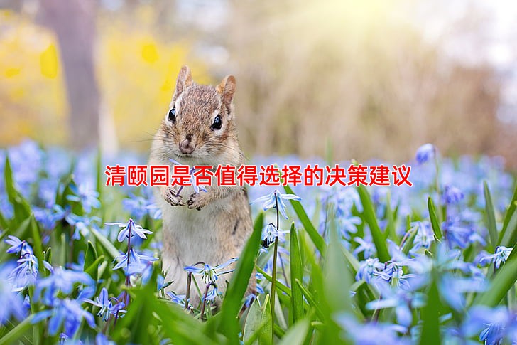 清颐园是否值得选择的决策建议