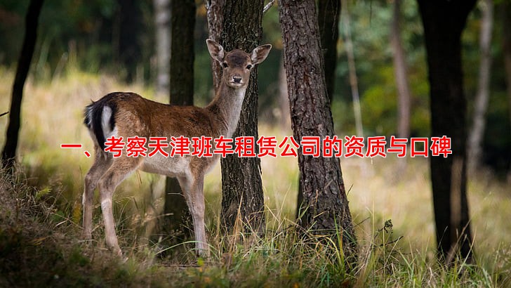 一、考察天津班车租赁公司的资质与口碑