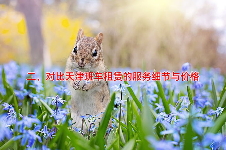 二、对比天津班车租赁的服务细节与价格