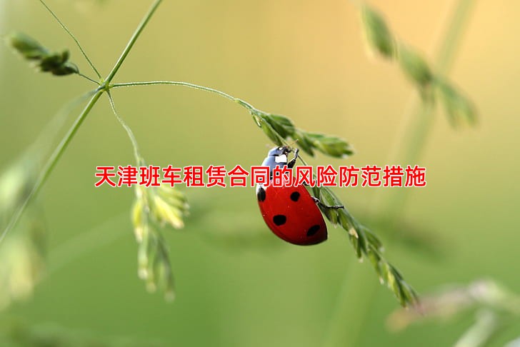 天津班车租赁合同的风险防范措施