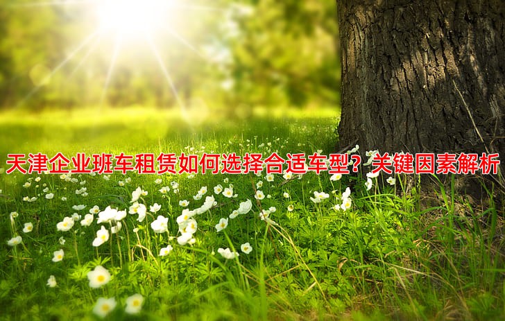 天津企业班车租赁如何选择合适车型？关键因素解析