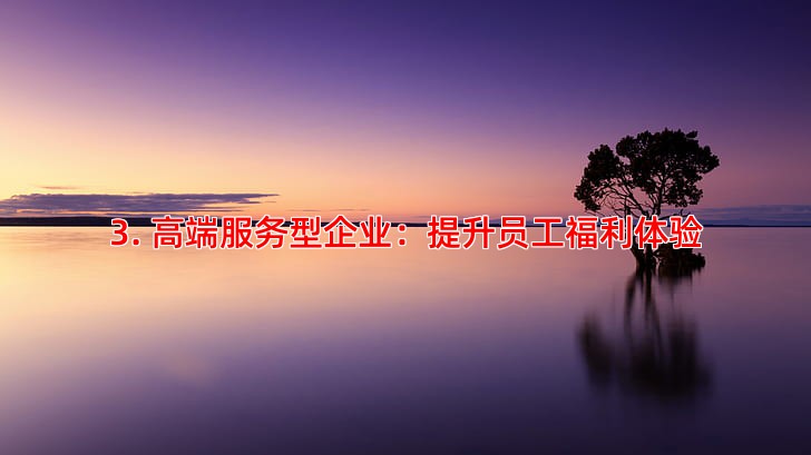 3. 高端服务型企业：提升员工福利体验