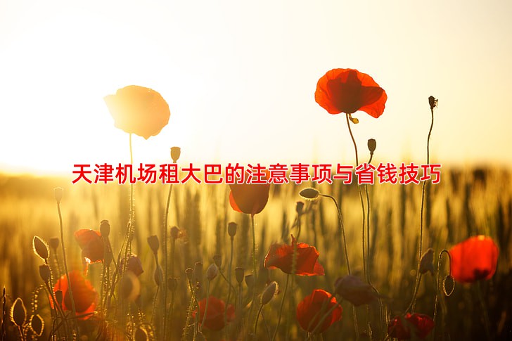 天津机场租大巴的注意事项与省钱技巧