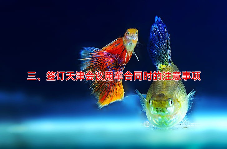三、签订天津会议用车合同时的注意事项