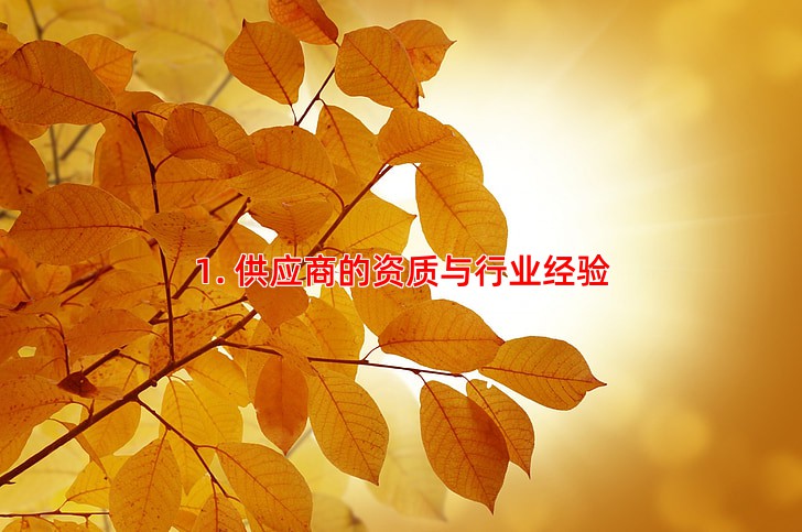 1. 供应商的资质与行业经验