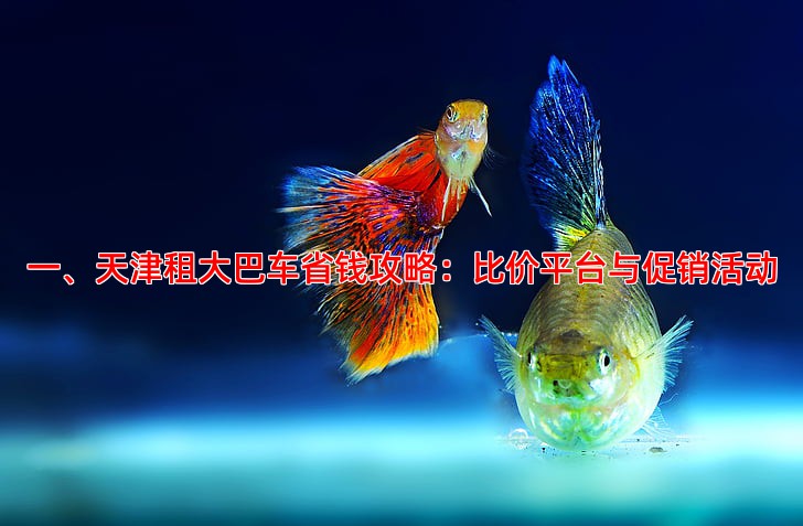 一、天津租大巴车省钱攻略：比价平台与促销活动