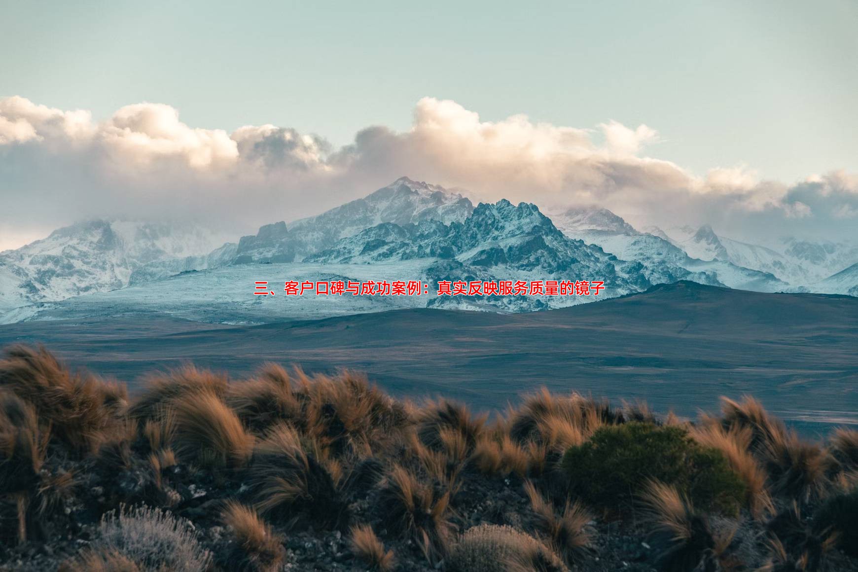 三、客户口碑与成功案例：真实反映服务质量的镜子