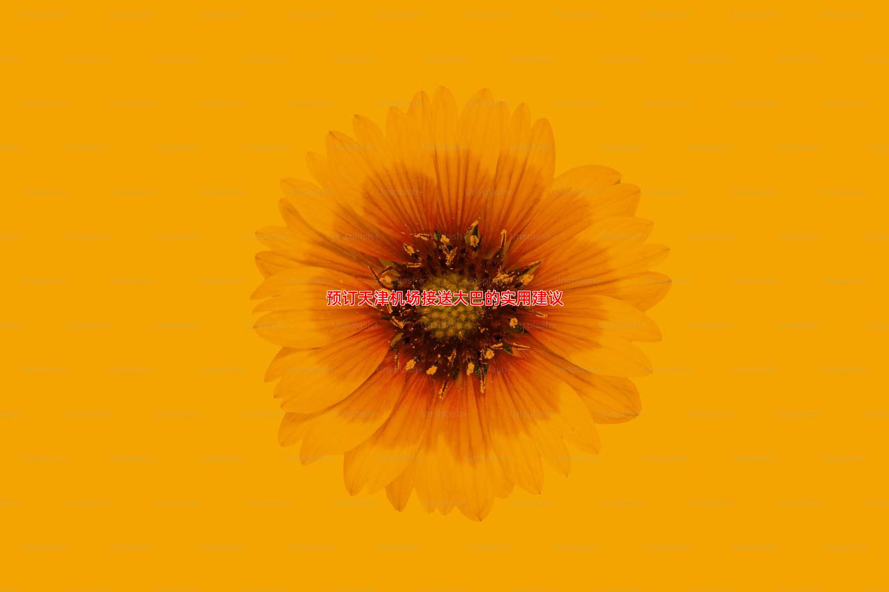 预订天津机场接送大巴的实用建议