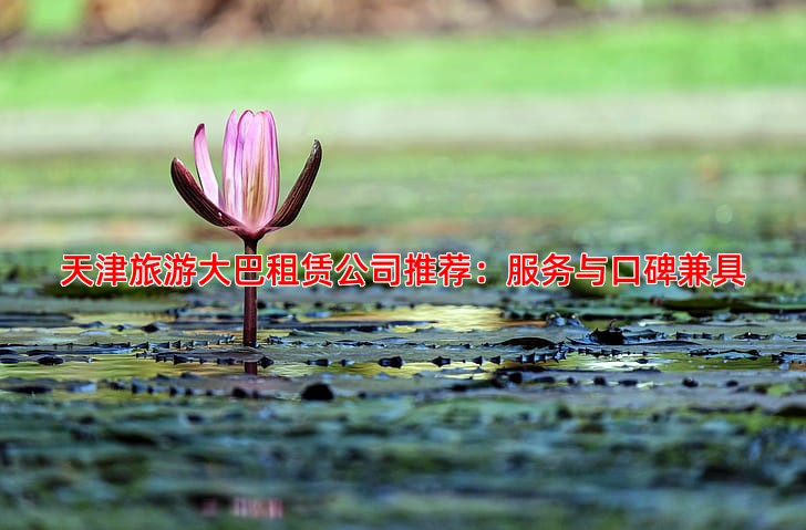 天津旅游大巴租赁公司推荐：服务与口碑兼具