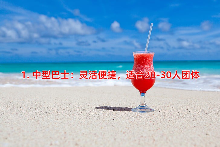 1. 中型巴士：灵活便捷，适合20-30人团体