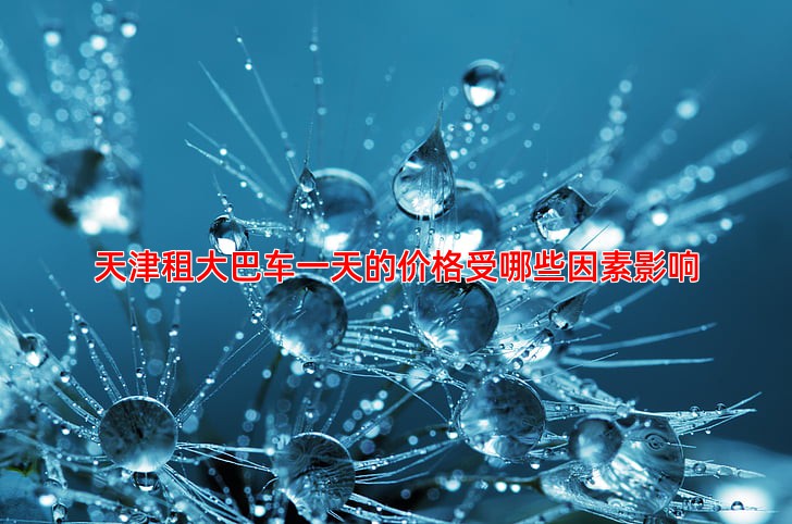 天津租大巴车一天的价格受哪些因素影响