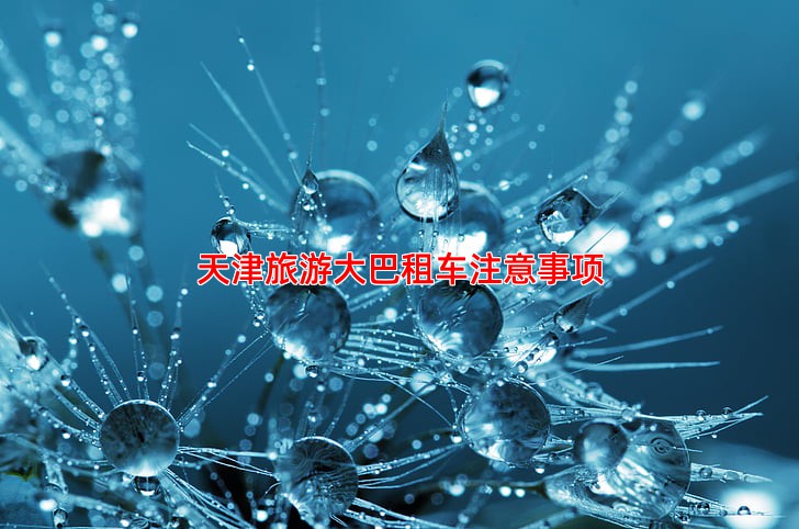 天津旅游大巴租车注意事项