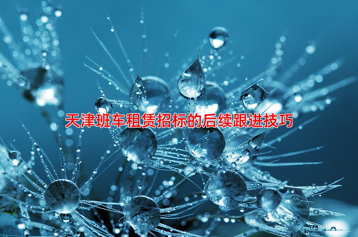 天津班车租赁招标的后续跟进技巧