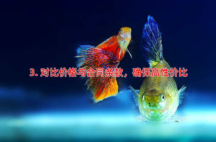 3. 对比价格与合同条款，确保高性价比