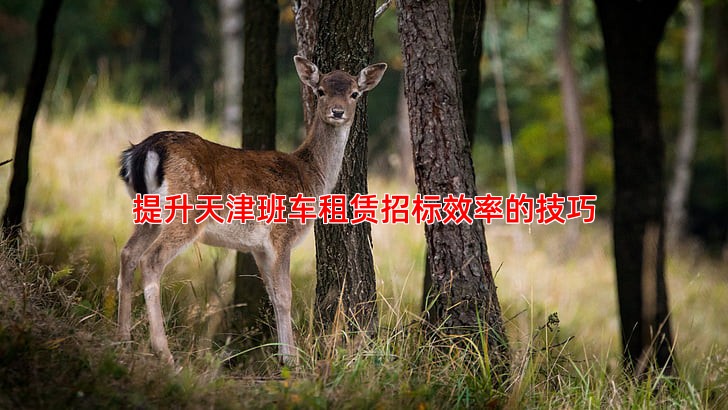 提升天津班车租赁招标效率的技巧