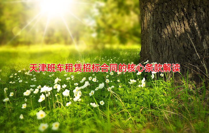 天津班车租赁招标合同的核心条款解读