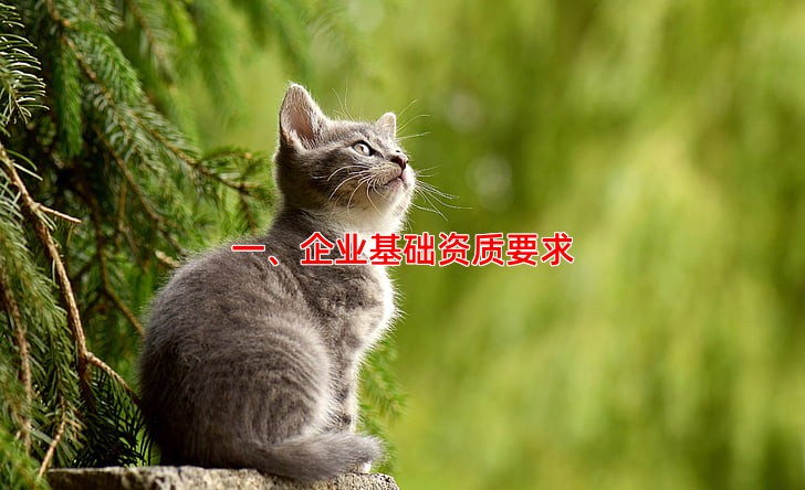 一、企业基础资质要求