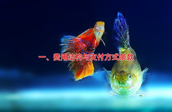 一、费用结构与支付方式条款