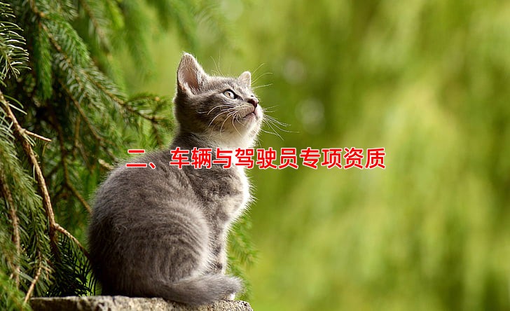 二、车辆与驾驶员专项资质