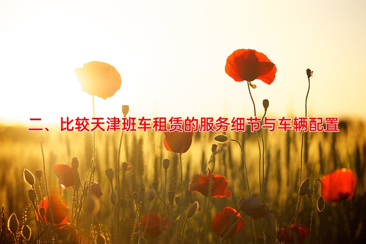 二、比较天津班车租赁的服务细节与车辆配置