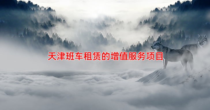 天津班车租赁的增值服务项目