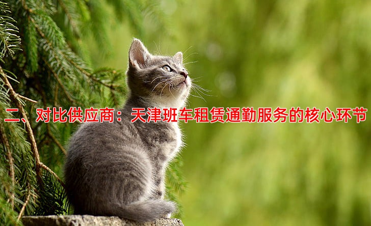 二、对比供应商：天津班车租赁通勤服务的核心环节