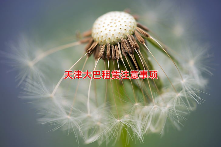 天津大巴租赁注意事项