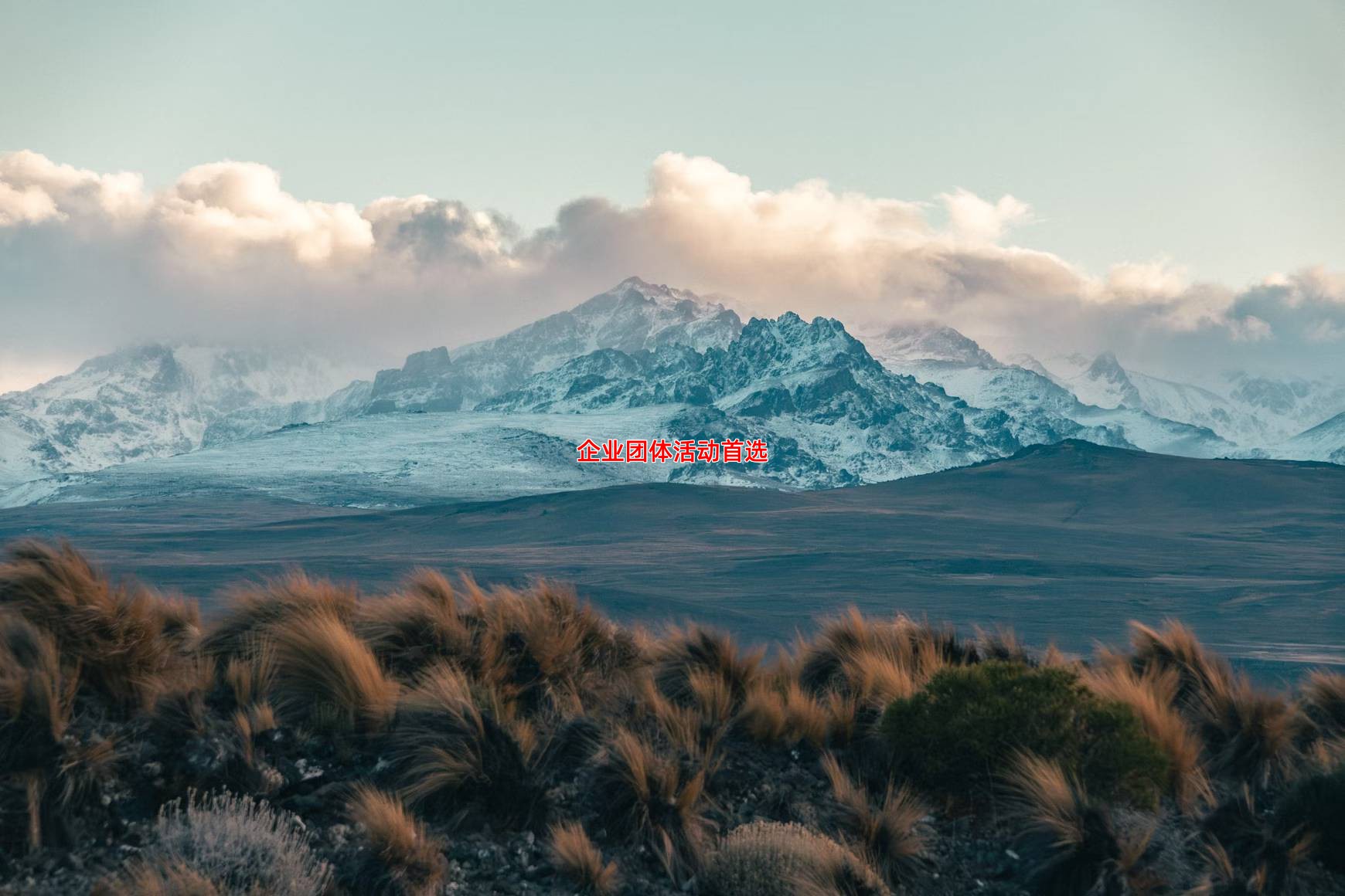 企业团体活动首选