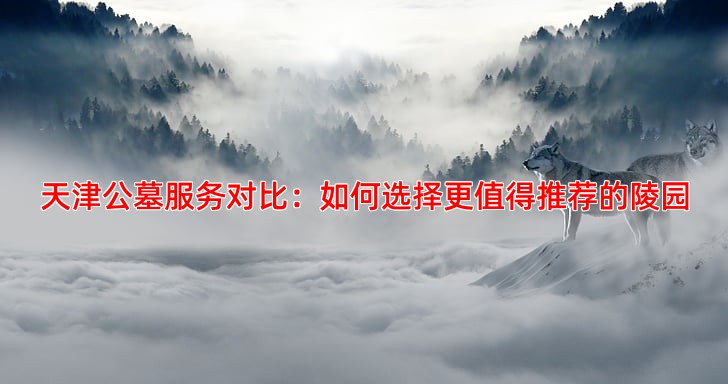 天津公墓服务对比哪家更值得推荐