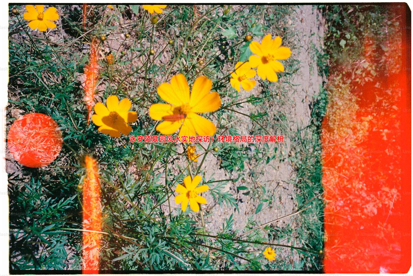 永安陵墓园风水实地探访：环境格局的深度解析