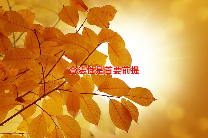 合法性是首要前提