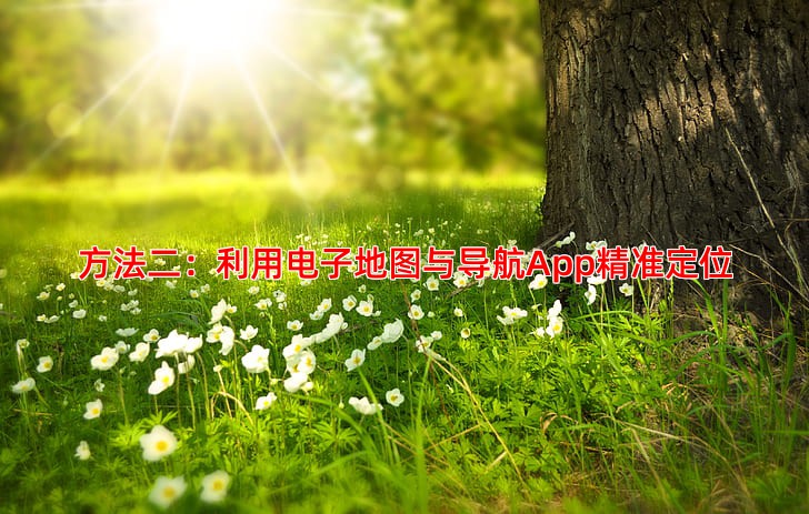 方法二：利用电子地图与导航App精准定位