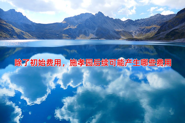除了初始费用，施孝园后续可能产生哪些费用