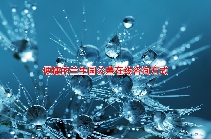 便捷的兰生园公墓在线咨询方式