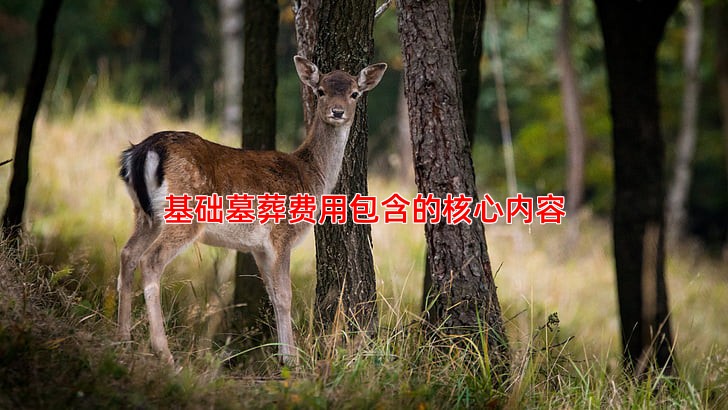 基础墓葬费用包含的核心内容