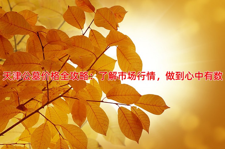 天津公墓价格全攻略：了解市场行情，做到心中有数