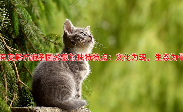 深度解析施孝园公墓的独特特点：文化为魂，生态为骨