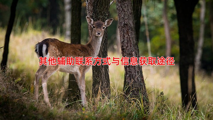 其他辅助联系方式与信息获取途径