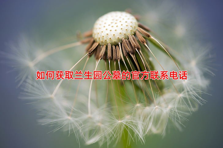 如何获取兰生园公墓的官方联系电话