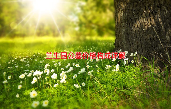 兰生园公墓价格构成详解