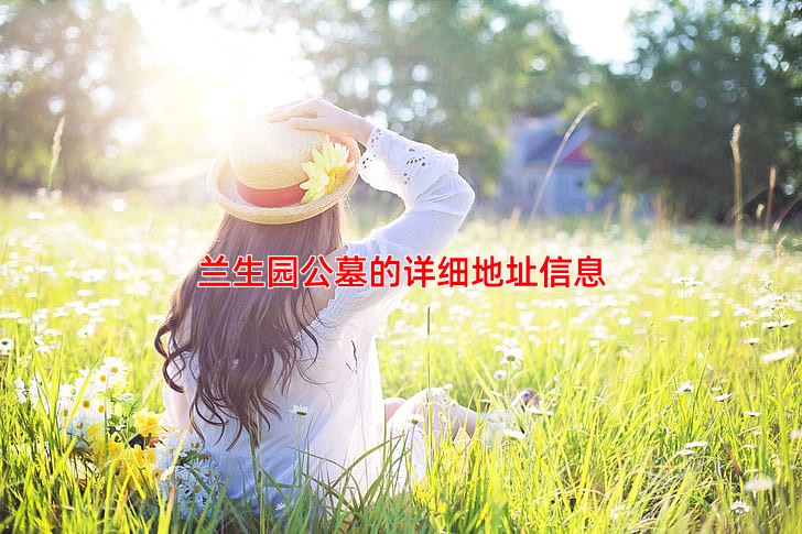 兰生园公墓的详细地址信息